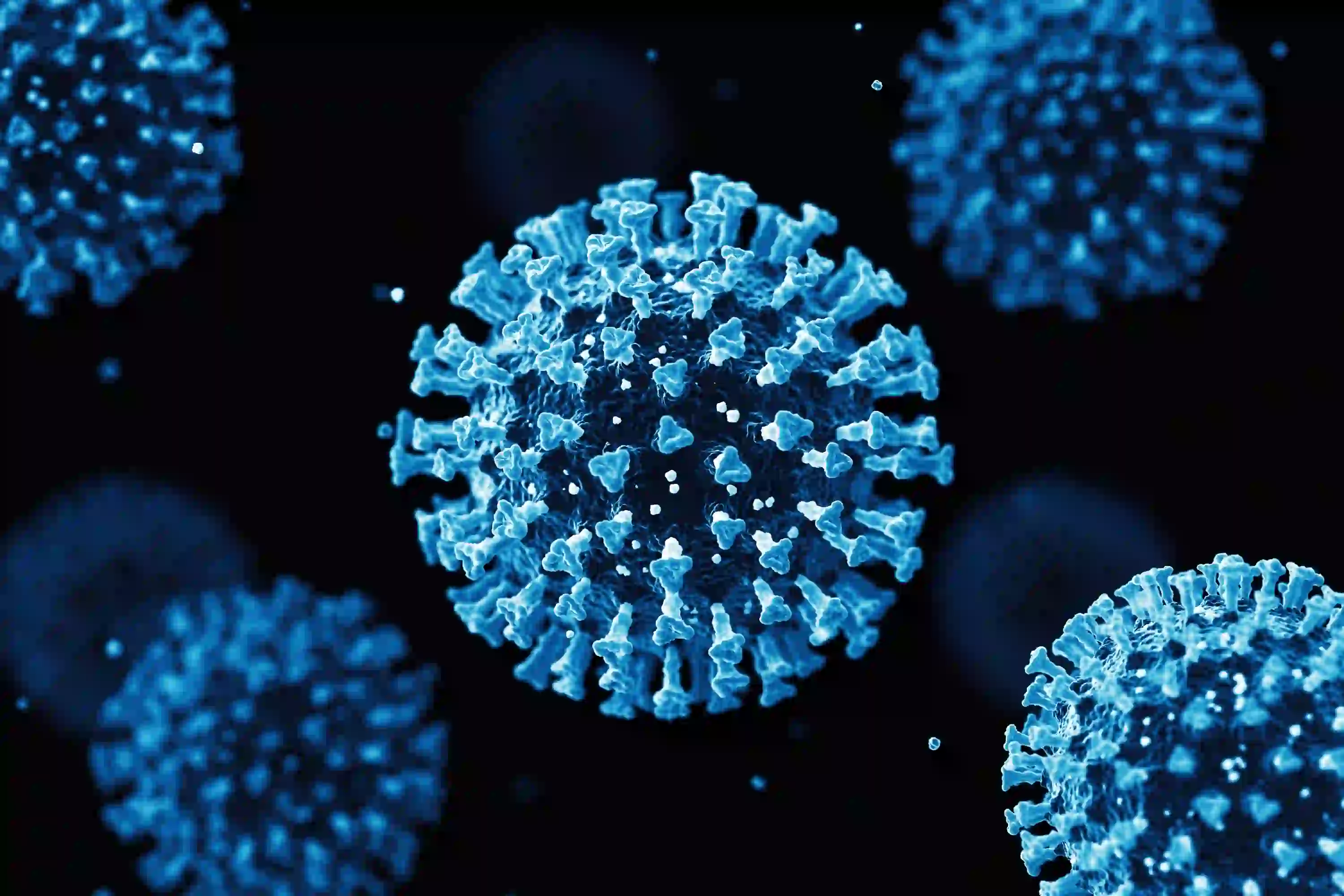 Эволюция вируса  что известно о новом подвиде SARS-CoV-2 (EG.5)