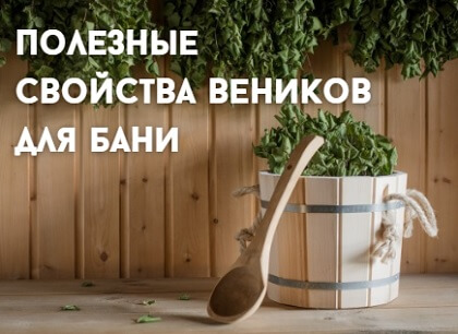 Полезные свойства веников для бани из клена, рябины, орешника и эвкалипта